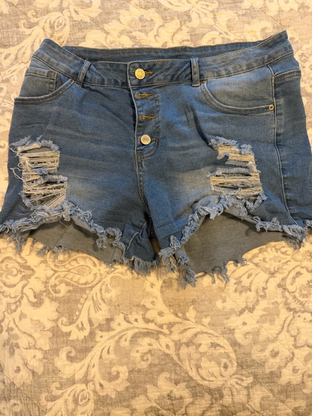 Source Unknown Distressed Blue Jean Shorts